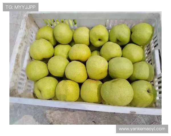 畅享皇冠手机版登录地址,教你如何快速找到入口 畅享皇冠手机版登录地址,教你如何快速找到入口