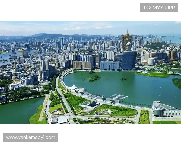 澳门博彩平台未来发展趋势，科技创新引领行业新风尚