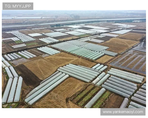 88娛樂国际首页为玩家提供专业的游戏攻略和最新行业动态，助你成为游戏高手