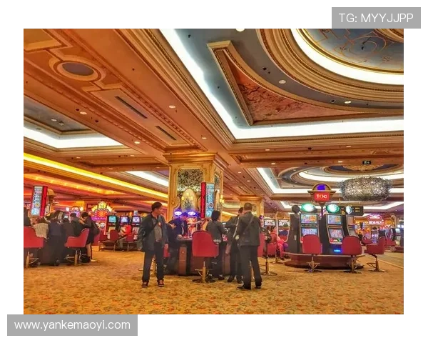 十六浦赌场会员制度详解享受专属权益与个性化服务提升用户粘性