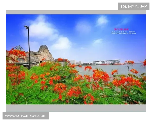 探索澳门渔人码头游艇会的豪华游艇租赁与私人定制海上旅游方案推荐